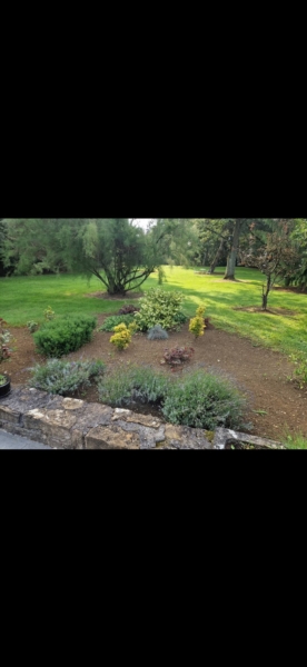 Image 22 : Spécialiste aménagement jardin à Bertrange : TMB Green-Lux Sarl