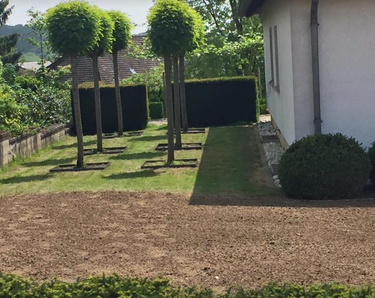 Image 6 : Entretien d'espaces verts à Canach : Marco Poul Sàrl