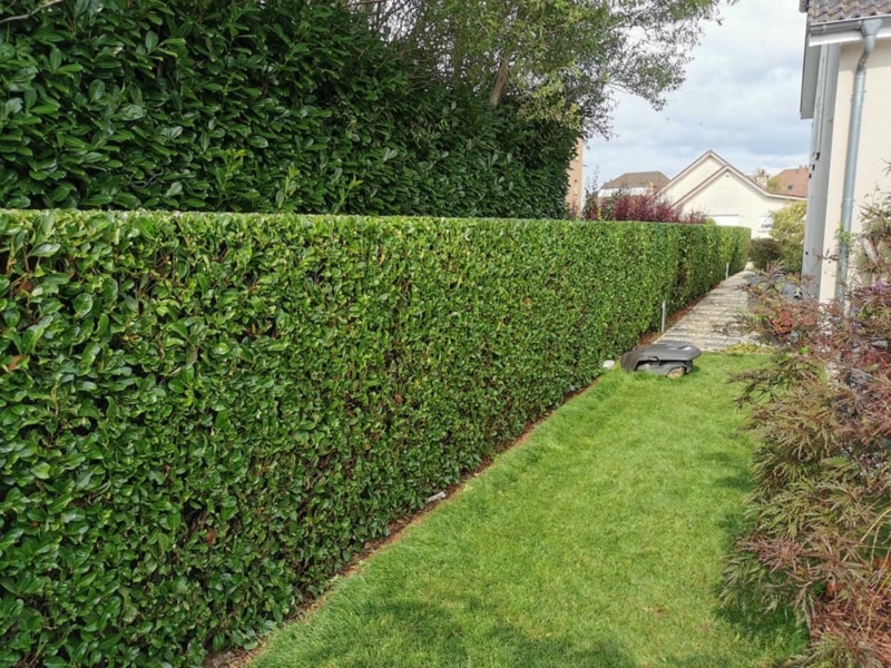 Image 1 : Aménagement paysager à Rodange : Garden Garant Sàrl