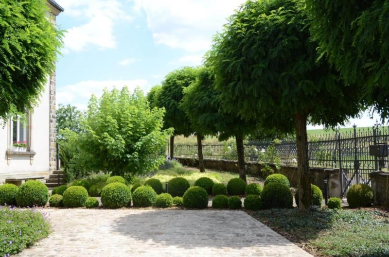 Image 5 : Jardinier à Bertrange : Vereal SA