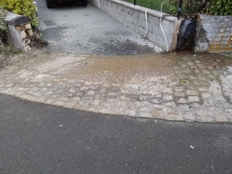 Image 16 : Jardinier à Frisange : Brico Jardin Hugo Rafael