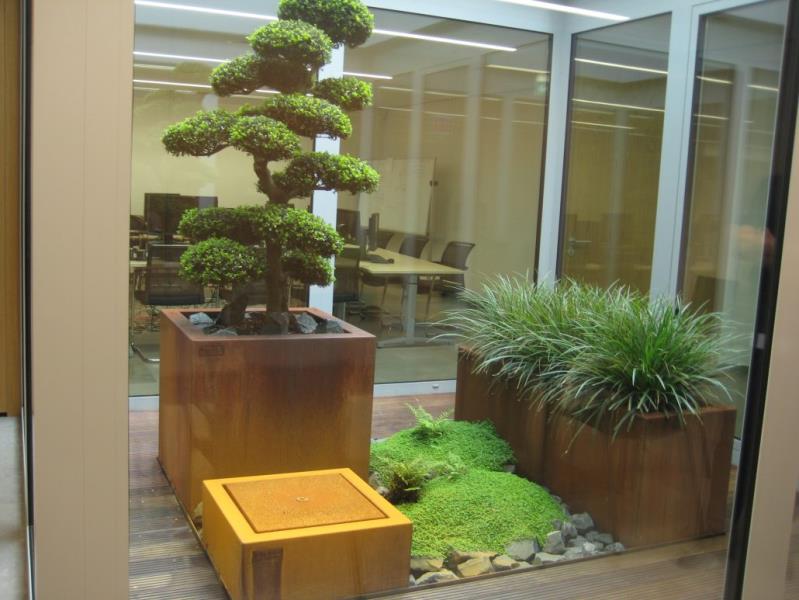 Image 7 : Spécialiste aménagement jardin à Hivange : Blumenthal Jardinage & Hydroculture