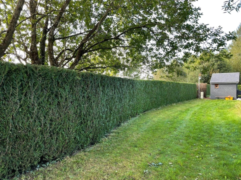 Image 6 : Aménagement paysager à Berchem : Brovert Sàrl