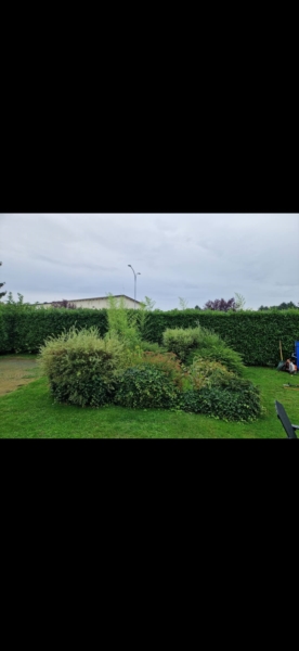 Image 23 : Spécialiste aménagement jardin à Bertrange : TMB Green-Lux Sarl