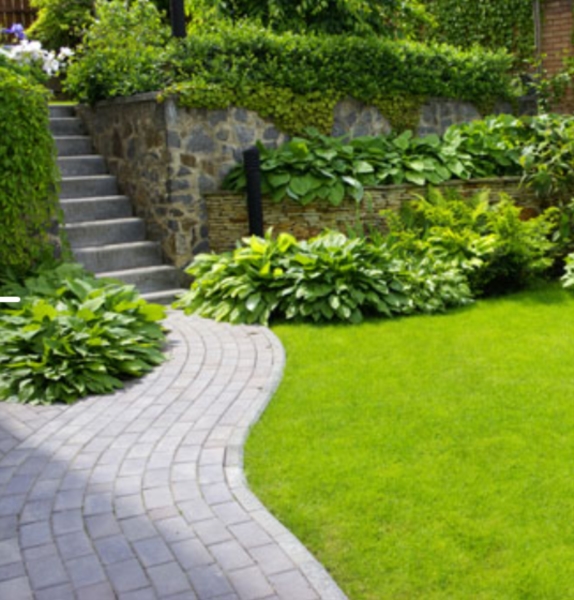 Image 18 : Jardinier à Frisange : Brico Jardin Hugo Rafael