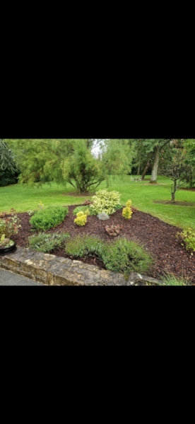 Image 25 : Spécialiste aménagement jardin à Bertrange : TMB Green-Lux Sarl