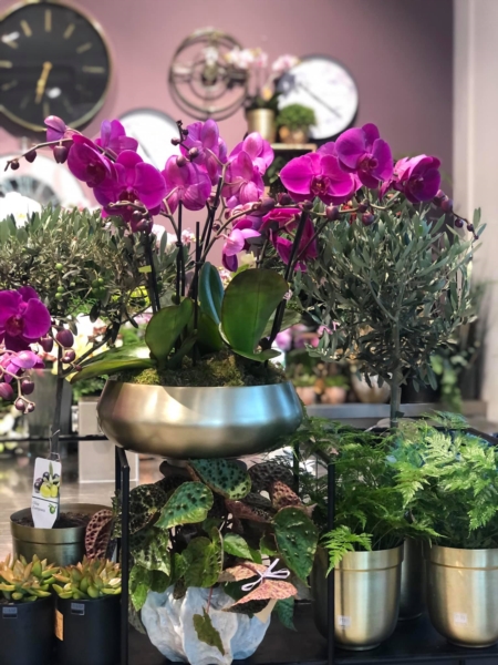 Image 1 : Fleuriste à Leudelange : Floral Design