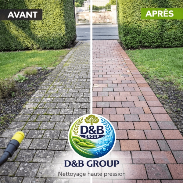 Image 4 : Société de nettoyage à Grevenmacher : D&B Group (Jardinage & Nettoyage)