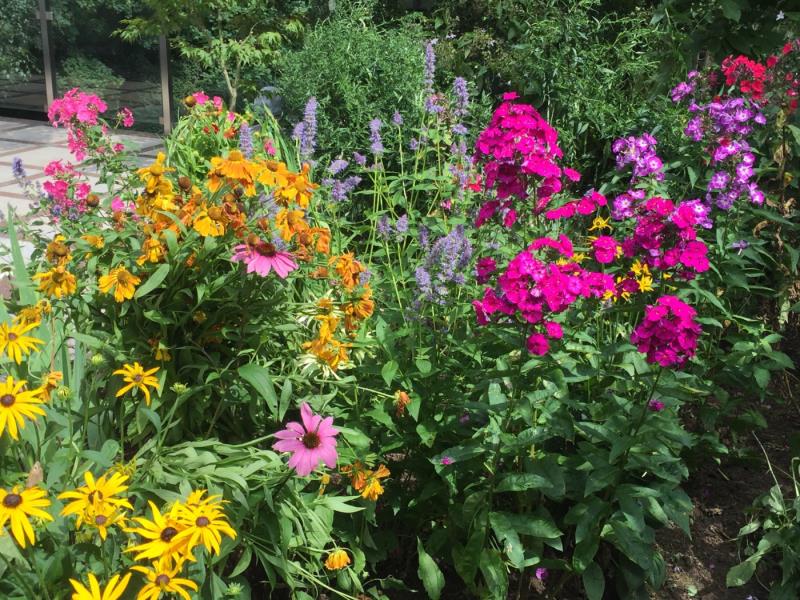 Image 6 : Jardin et espace vert à Luxembourg : GaardenKarisma