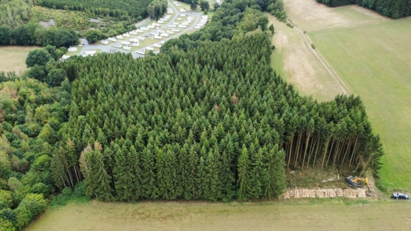Image 3 : Exploitation forestière à Steinfort : Goffinet Bois SA