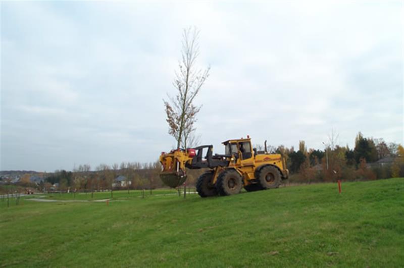 Image 8 : Jardin et espace vert à Limpach : Green Space