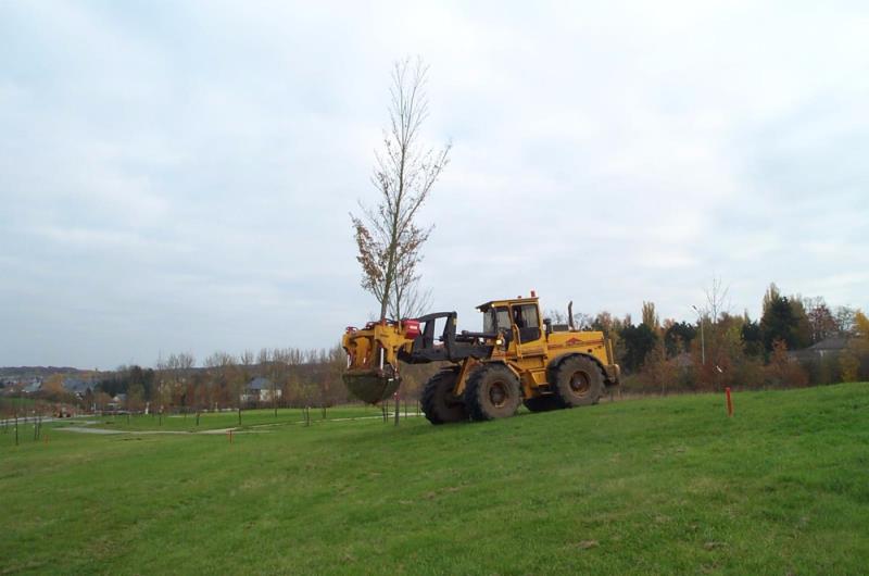 Image 9 : Jardin et espace vert à Limpach : Green Space
