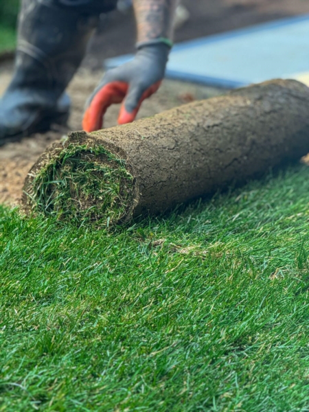 Image 13 : Jardinier à Esch-sur-Alzette : S&T Creation Sàrl