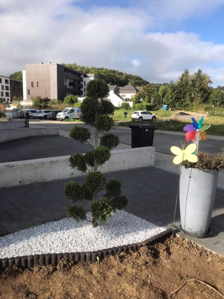 Image 9 : Aménagement paysager à Schifflange : Demas jardinage