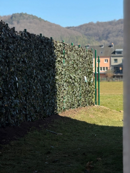 Image 14 : Jardinier à Esch-sur-Alzette : S&T Creation Sàrl