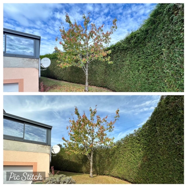 Image 28 : Spécialiste aménagement jardin à Bertrange : TMB Green-Lux Sarl