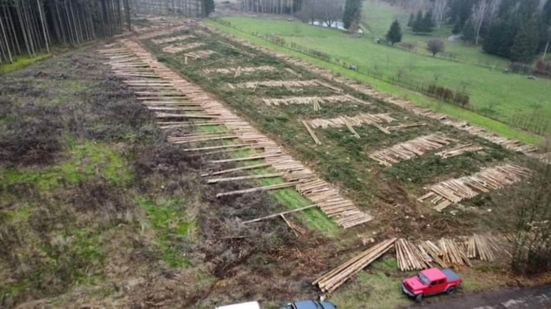 Image 4 : Exploitation forestière à Steinfort : Goffinet Bois SA