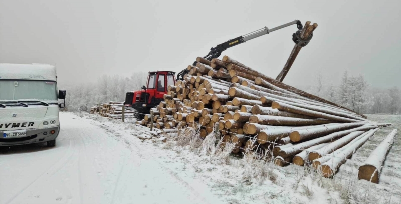 Image 5 : Exploitation forestière à Steinfort : Goffinet Bois SA