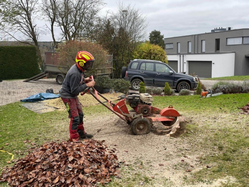 Image 9 : Aménagement paysager à Berchem : Brovert Sàrl