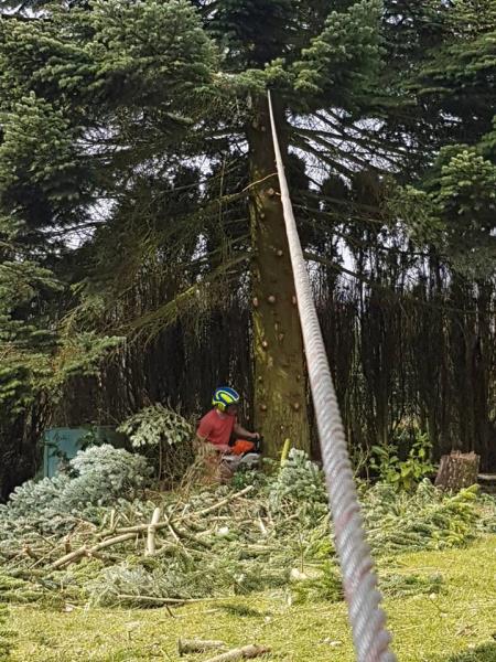 Image 19 : Spécialiste aménagement jardin à Roodt-sur-Syre : Serge Frieden Garten & Landschaftsbau Sàrl