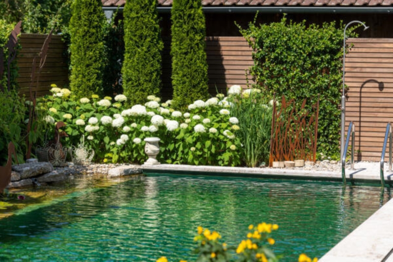 Image 13 : Jardin et espace vert à Schwebsingen : BOHR Ihr Gärtner von Eden