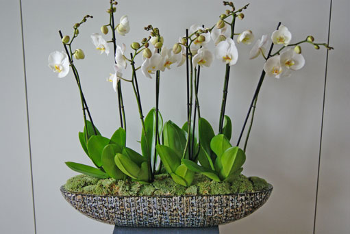 Image 6 : Fleuriste à Leudelange : Floral Design