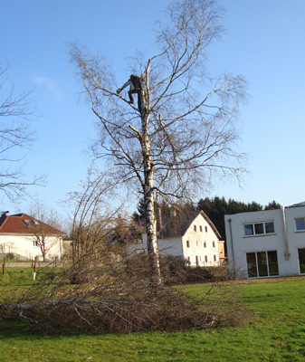 Image 6 : Jardinier à Mamer : Landschaftsgaertnerei Hilbert Sàrl