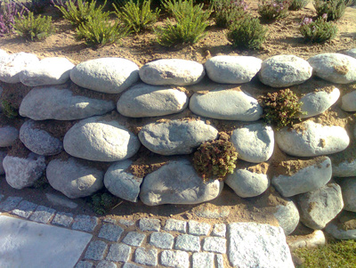 Image 9 : Jardinier à Mamer : Landschaftsgaertnerei Hilbert Sàrl