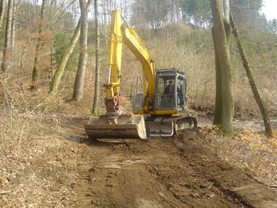 Image 4 : Coupe et taille d’arbres à Wilwerwiltz : Kiischpelter Holzhacker