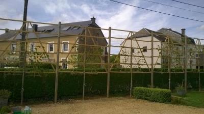 Image 20 : Coupe et taille d’arbres à Arlon : Krafft - Leblanc