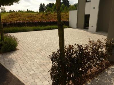 Image 21 : Coupe et taille d’arbres à Arlon : Krafft - Leblanc
