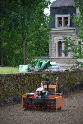 Image 23 : Coupe et taille d’arbres à Arlon : Krafft - Leblanc