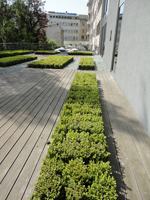 Image 7 : Jardin et espace vert à Leudelange : Arts & Nature