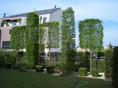 Image 2 : Jardin et espace vert à Limpach : Winandy Pol Jardins