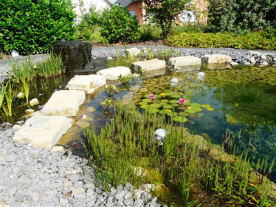 Image 1 : Spécialiste aménagement jardin à Grevenmacher : Hammes & Kramp Gartengestaltung GmbH