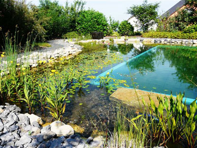 Image 5 : Spécialiste aménagement jardin à Grevenmacher : Hammes & Kramp Gartengestaltung GmbH