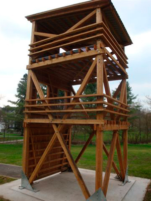 Image 3 : Toiture bâtiment à Dahl : Therres G.