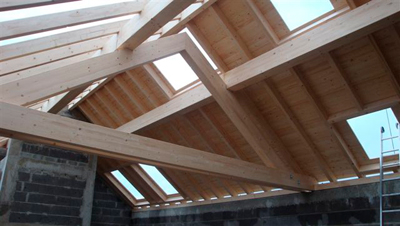 Image 8 : Toiture bâtiment à Dahl : Therres G.