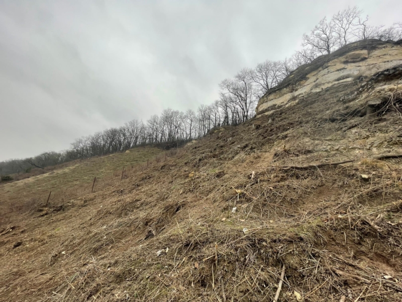 Image 20 : Travaux et exploitation forestière à Weiswampach : Emoforest