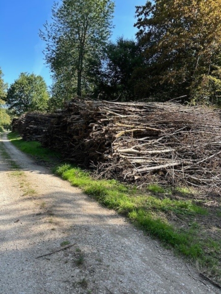 Image 7 : Exploitation forestière à Steinfort : Goffinet Bois SA