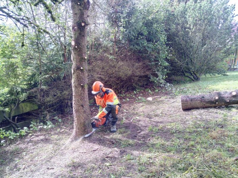 Image 4 : Spécialiste aménagement jardin à Esch-sur-Alzette : SELLIER Green & Services Sàrl