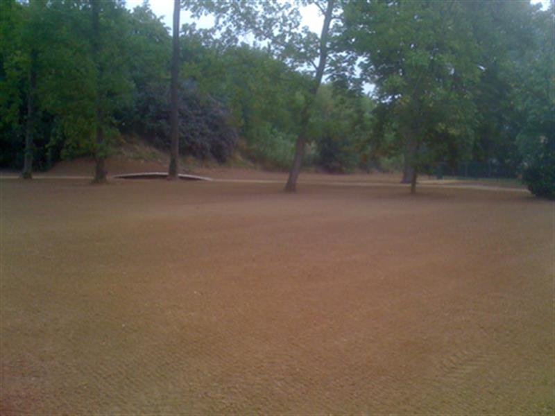 Image 14 : Jardin et espace vert à Limpach : Green Space