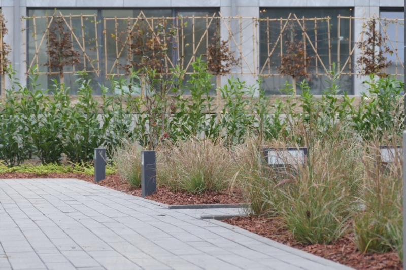 Image 10 : Aménagement paysager à Bertrange : JLH Garden Design Sàrl