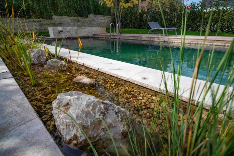 Image 18 : Jardin et espace vert à Tandel : Pépinières Gillen Sàrl