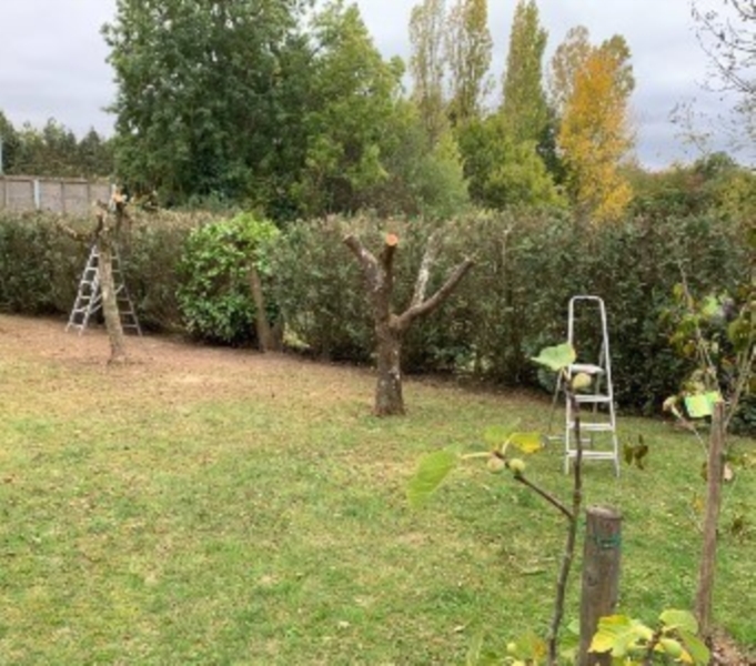 Image 11 : Aménagement paysager à Schengen : Lux Garten