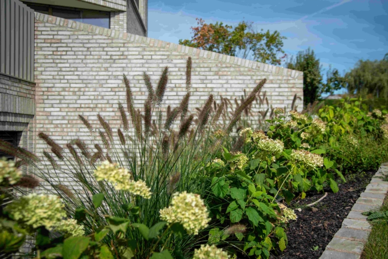 Image 19 : Jardin et espace vert à Tandel : Pépinières Gillen Sàrl