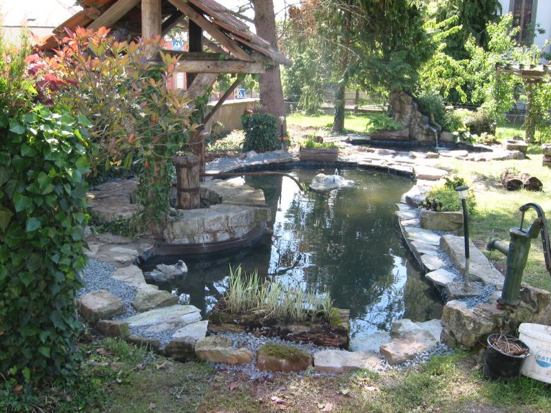 Image 10 : Spécialiste aménagement jardin à Nagem : Jardin du Soleil