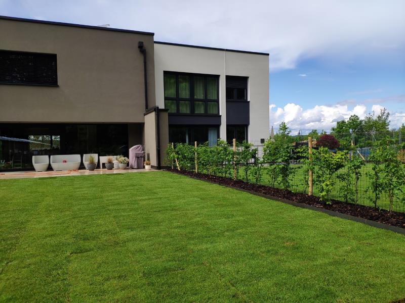 Image 8 : Spécialiste aménagement jardin à Colmar-Berg : Luxforêt et Jardin Sàrl