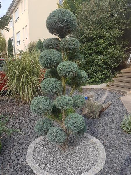 Image 23 : Spécialiste aménagement jardin à Roodt-sur-Syre : Serge Frieden Garten & Landschaftsbau Sàrl