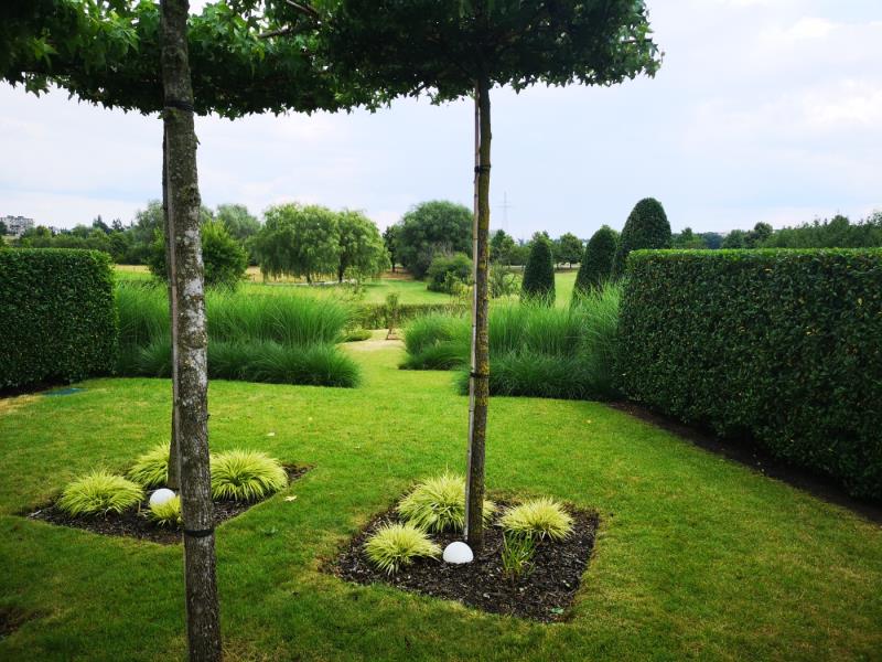 Image 10 : Aménagement paysager à Rodange : Alliance Paysage Sàrl